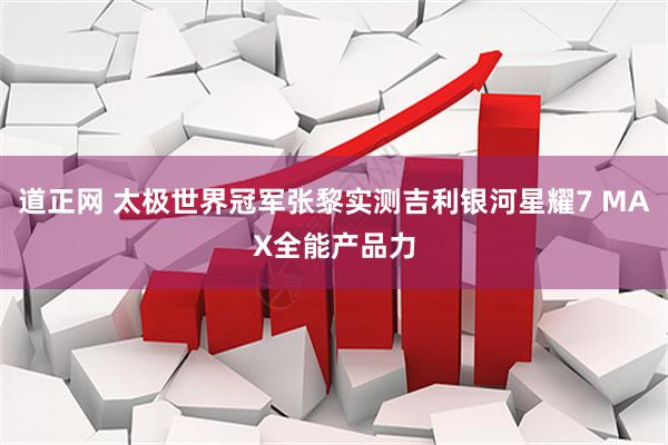 道正网 太极世界冠军张黎实测吉利银河星耀7 MAX全能产品力